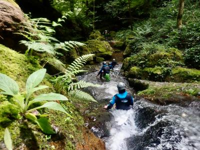 barranquismo en navarra